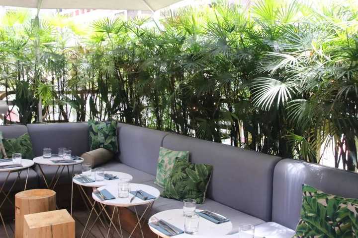 高级的面包店_高级西餐厅里的面包店_西餐厅的面包片叫什么