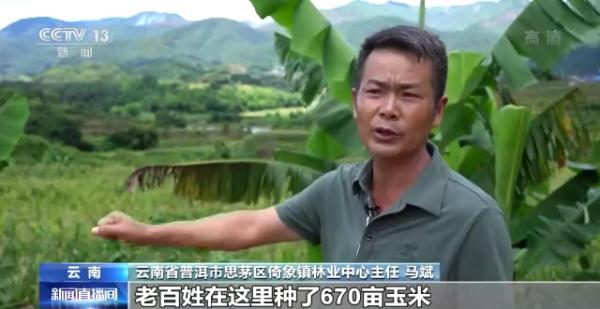 象鼻美食_象鼻料理_象鼻做菜